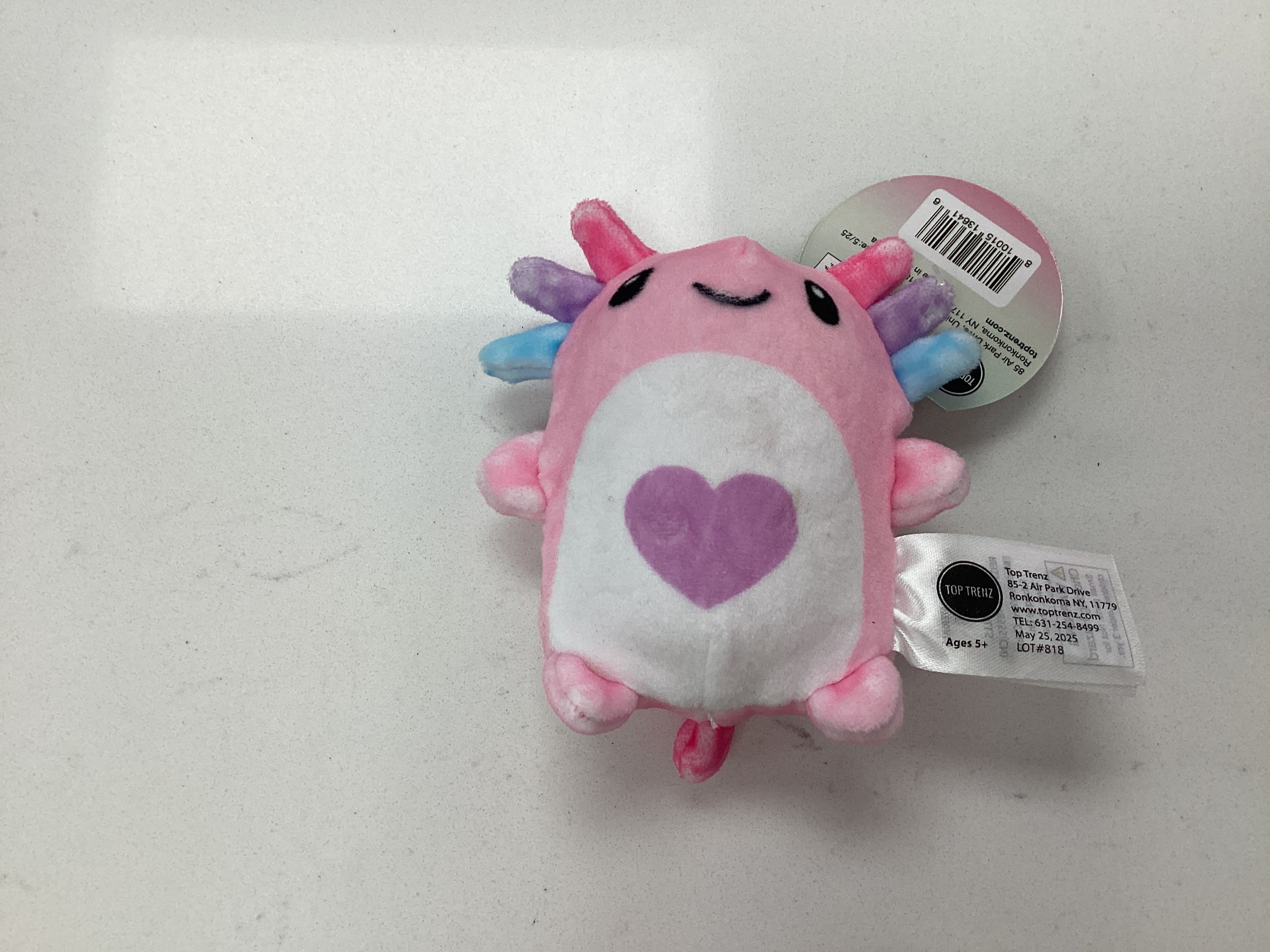 Bubble stuffed squishy friends