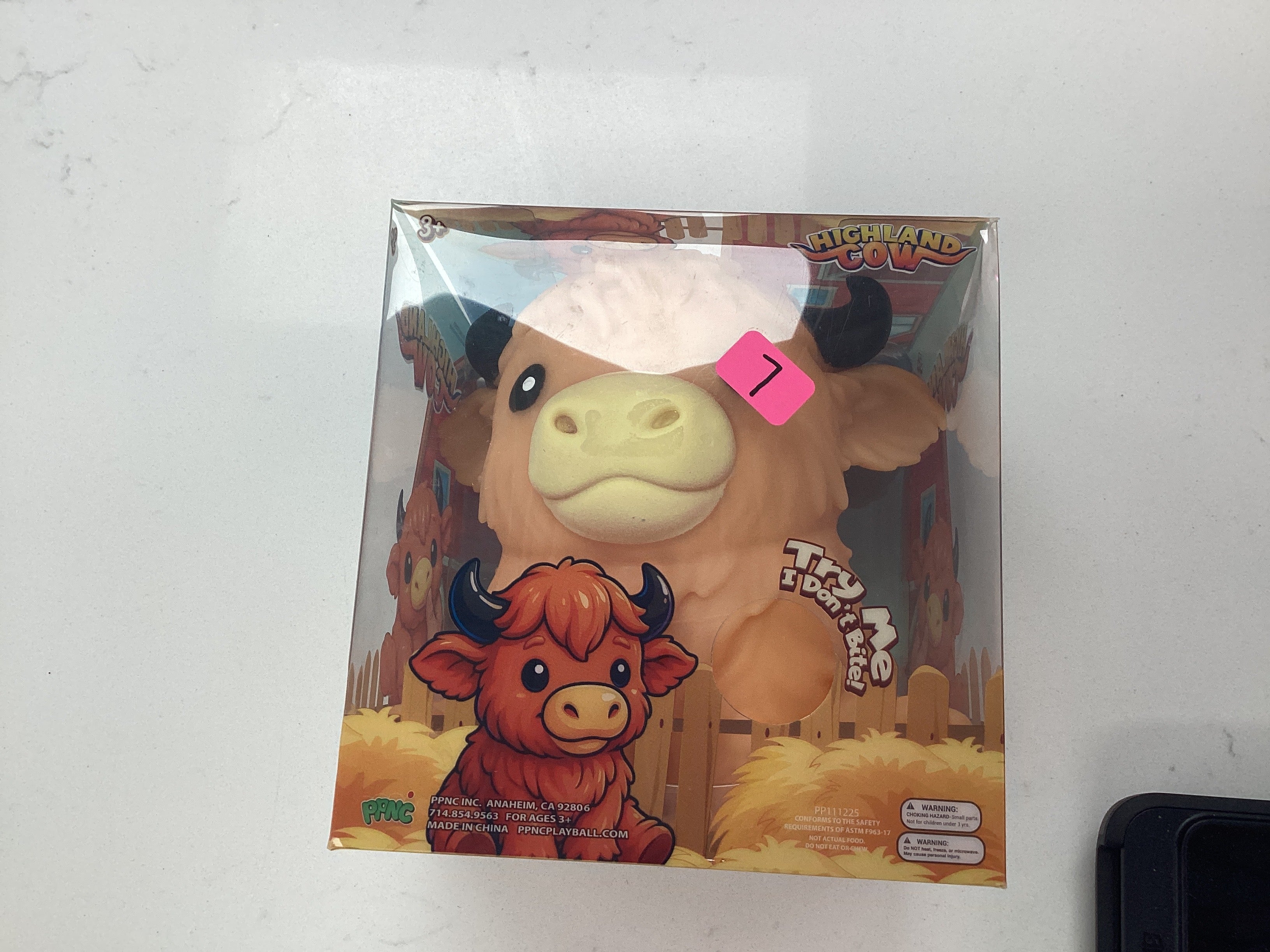 Highland Cow